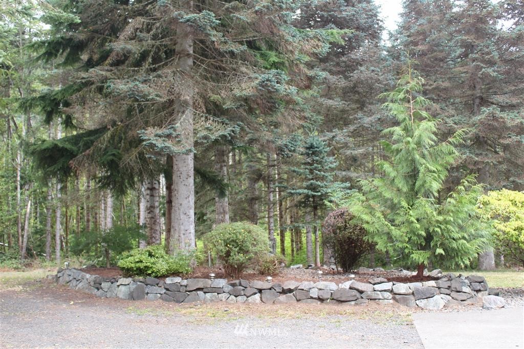 331 Larson Road Silver Creek, WA 98585 - Photo 17 of 19 Gallery Image 17