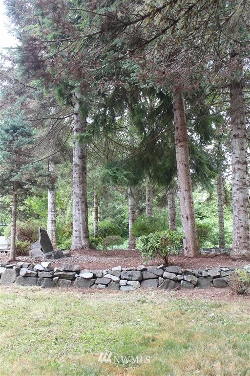 331 Larson Road Silver Creek, WA 98585 - Photo 18 of 19 Gallery Image 18