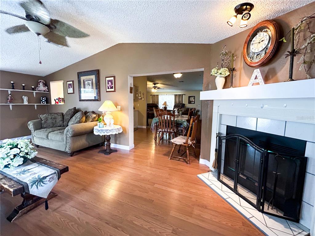 10423 Goshawk Drive Riverview, FL 33578 - Photo 7 of 18