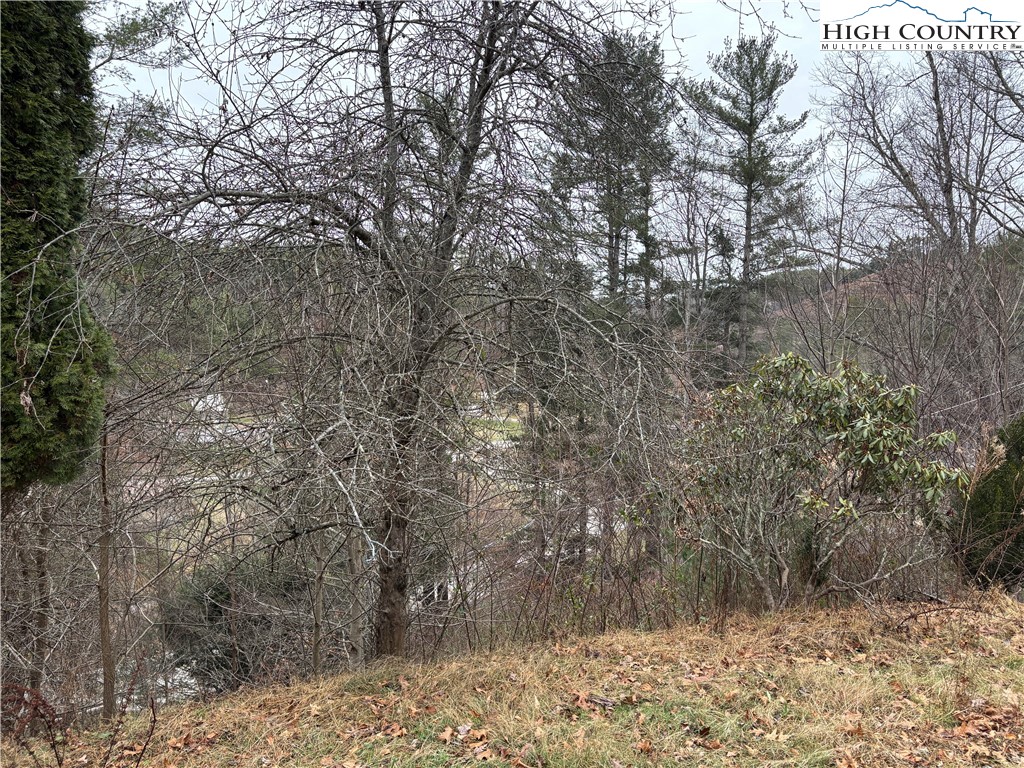 206 Bryant Combs Road Sugar Grove, NC 28679 - Photo 33 of 34