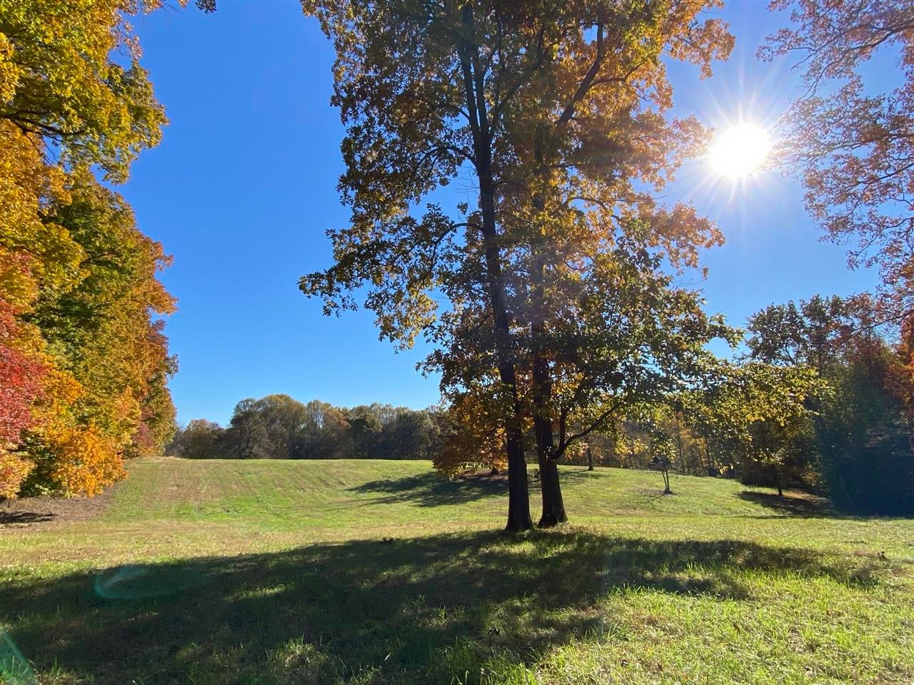 0 Cemetery Road Scottsville, KY 42164 - Photo 12 of 15 Gallery Image 12