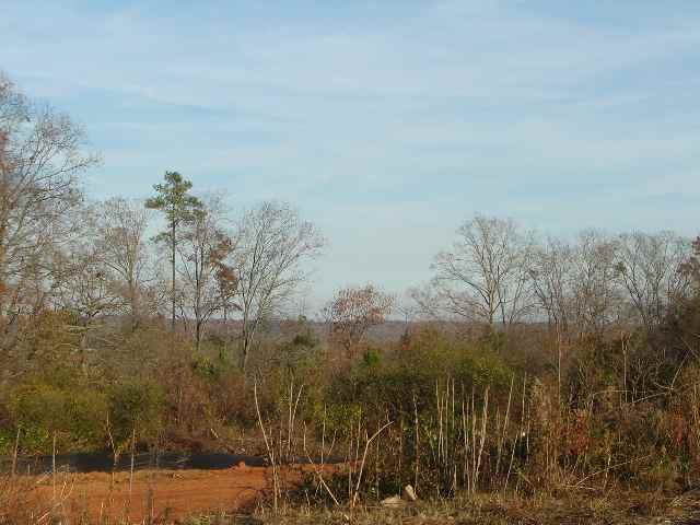 Lot 10 Magnolia Ridge Seneca, SC 29678 - Photo 3 of 3 Gallery Image 3