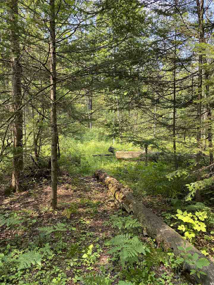 0 Briggs Road Omer, MI 48749 - Photo 30 of 45