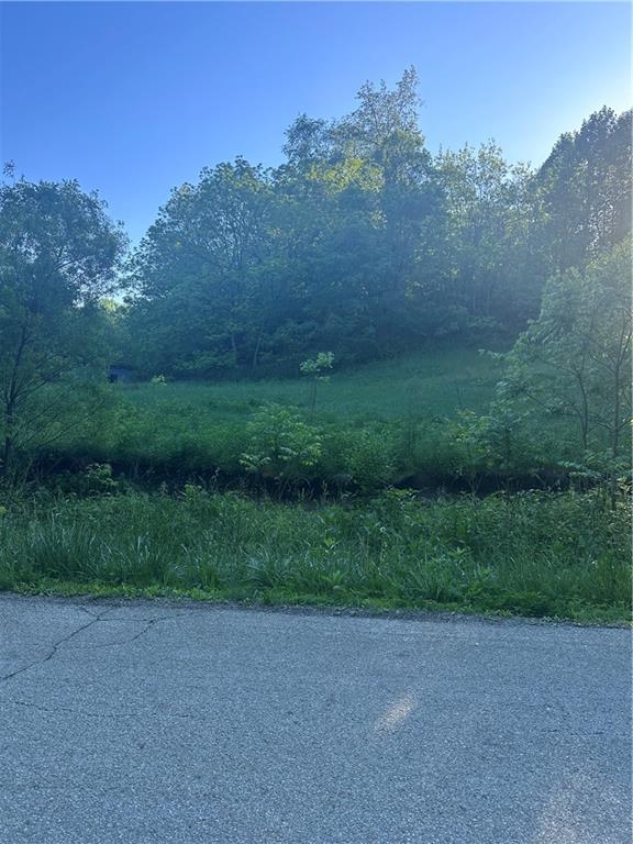 259 Banning Road Dawson, PA 15428 - Photo 2 of 2 a view of a field with trees in background