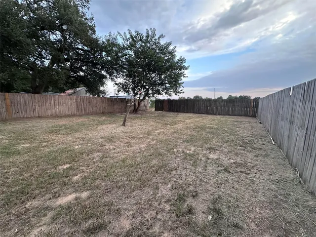 a view of backyard with tree