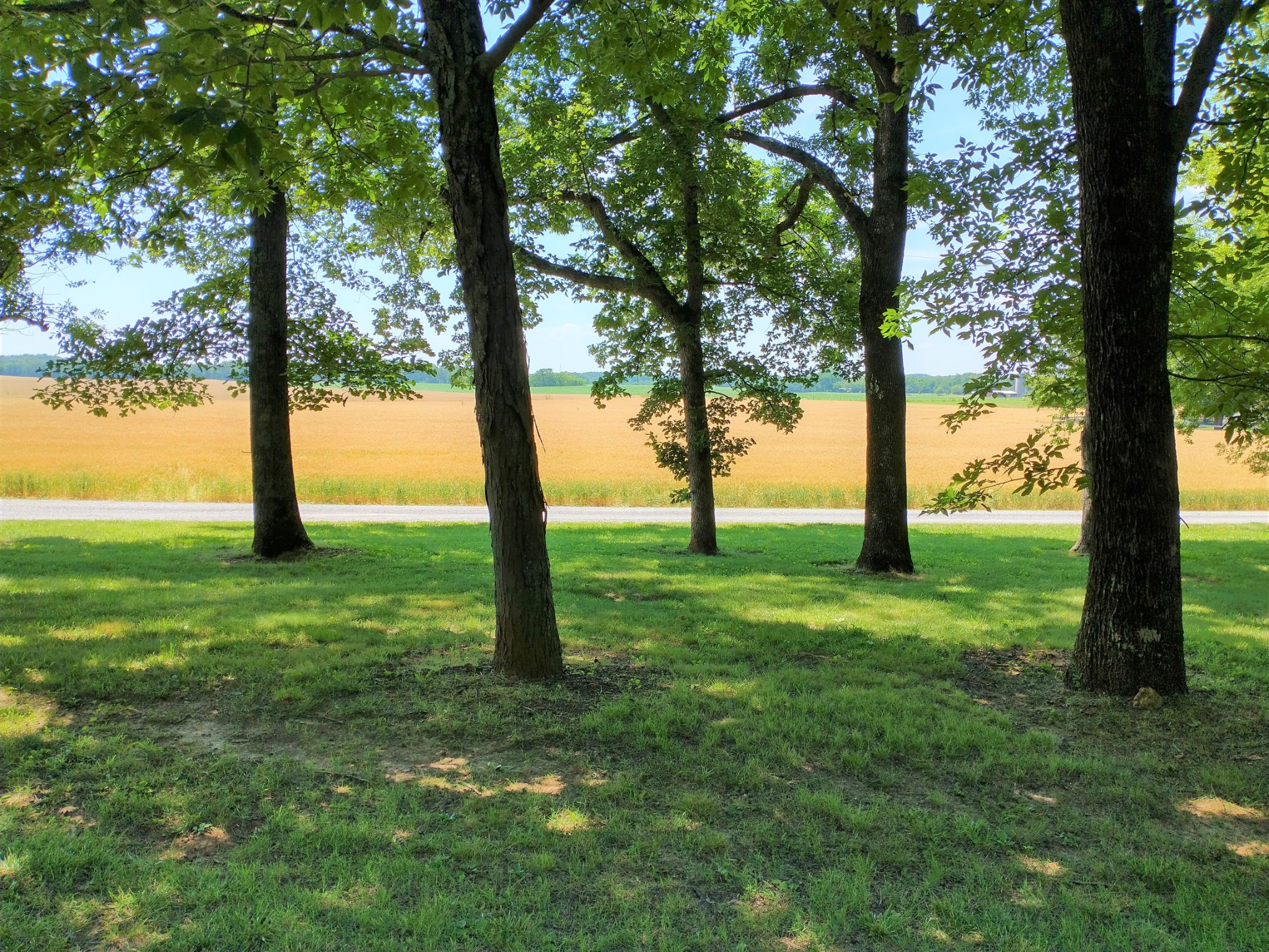 647 Carter Road Winchester, TN 37398 - Photo 9 of 34 Gallery Image 9