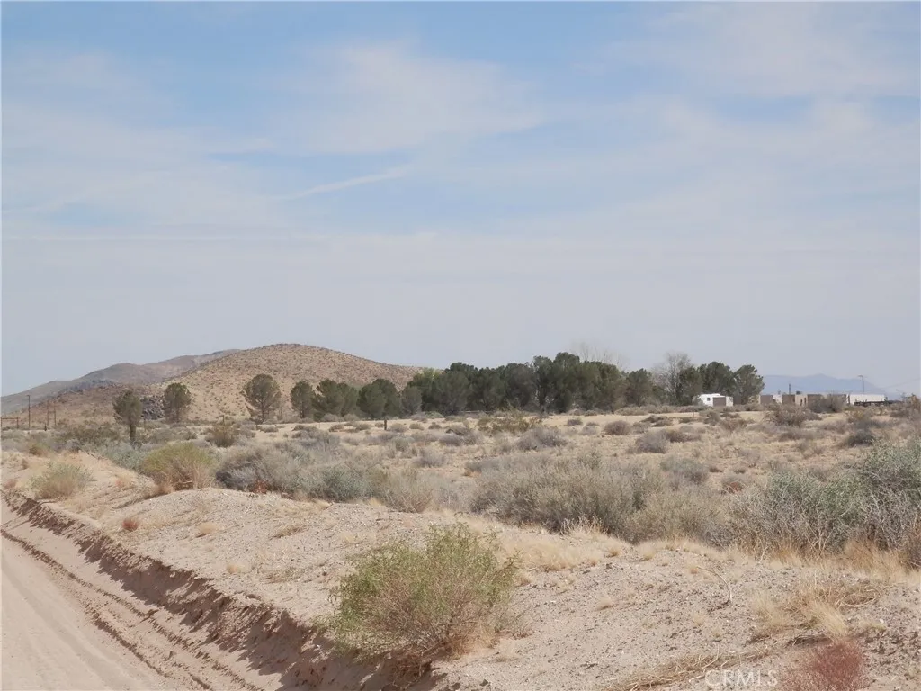 0 Holstead Hinkley, CA 92347 - Photo 7 of 15