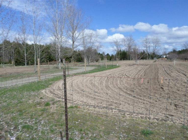 5251 13 Mile Road Bear Lake, MI 49614 - Photo 20 of 24 Additional Photo