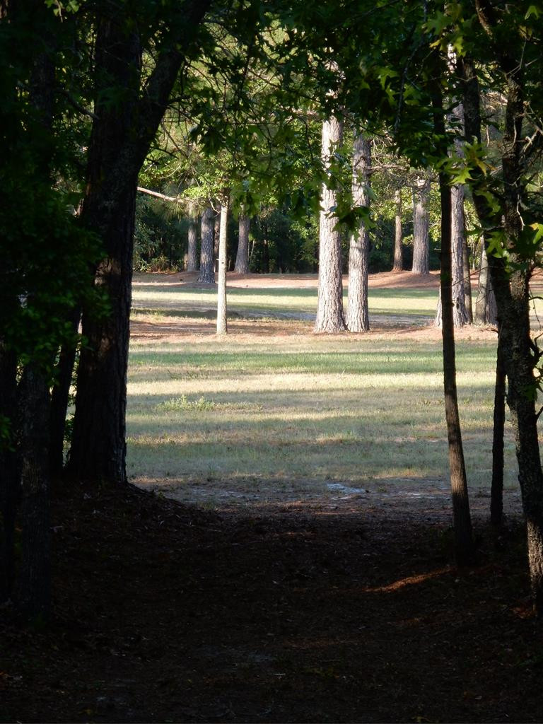 624-626 North Windsor Road Windsor, SC 29856 - Photo 4 of 20