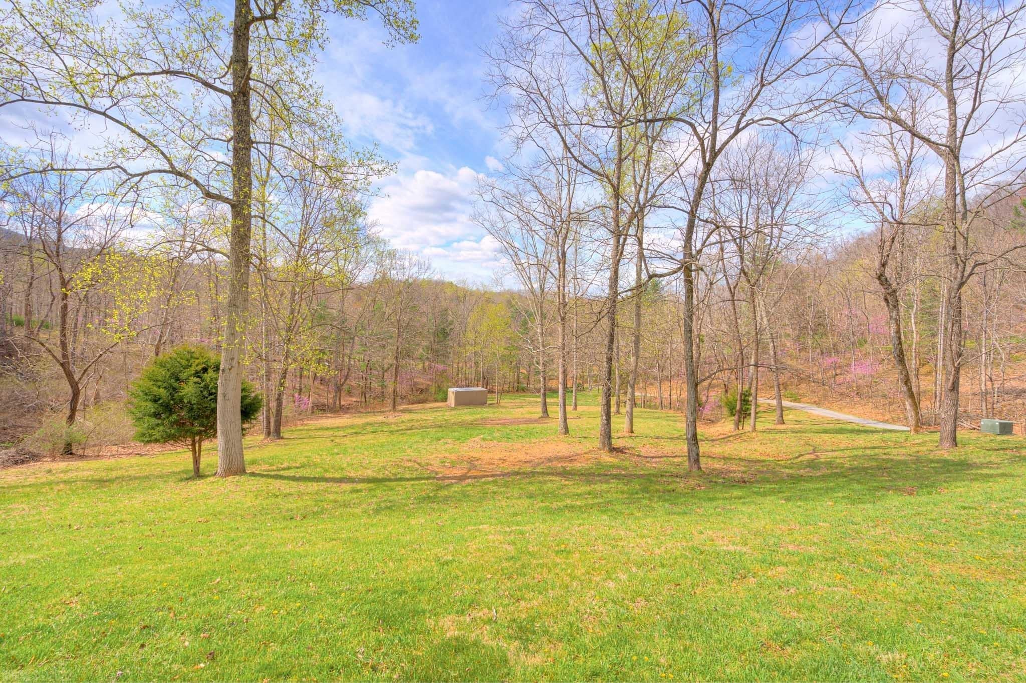 5402 Coles Road Elliston, VA 24087 - Photo 4 of 38 Gallery Image 4