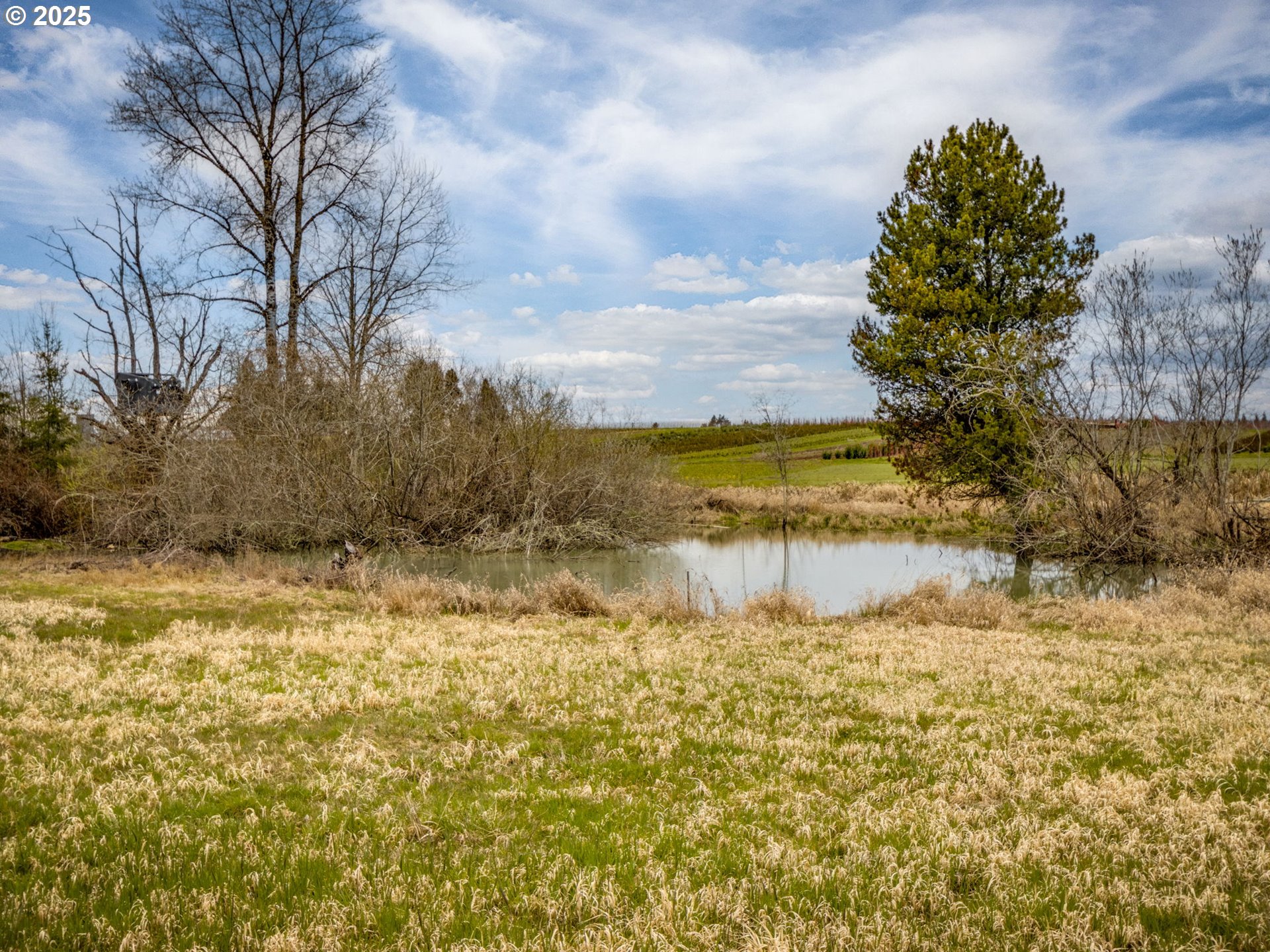 33133 Southeast Dodge Park Boulevard Gresham, OR 97080 - Photo 33 of 42