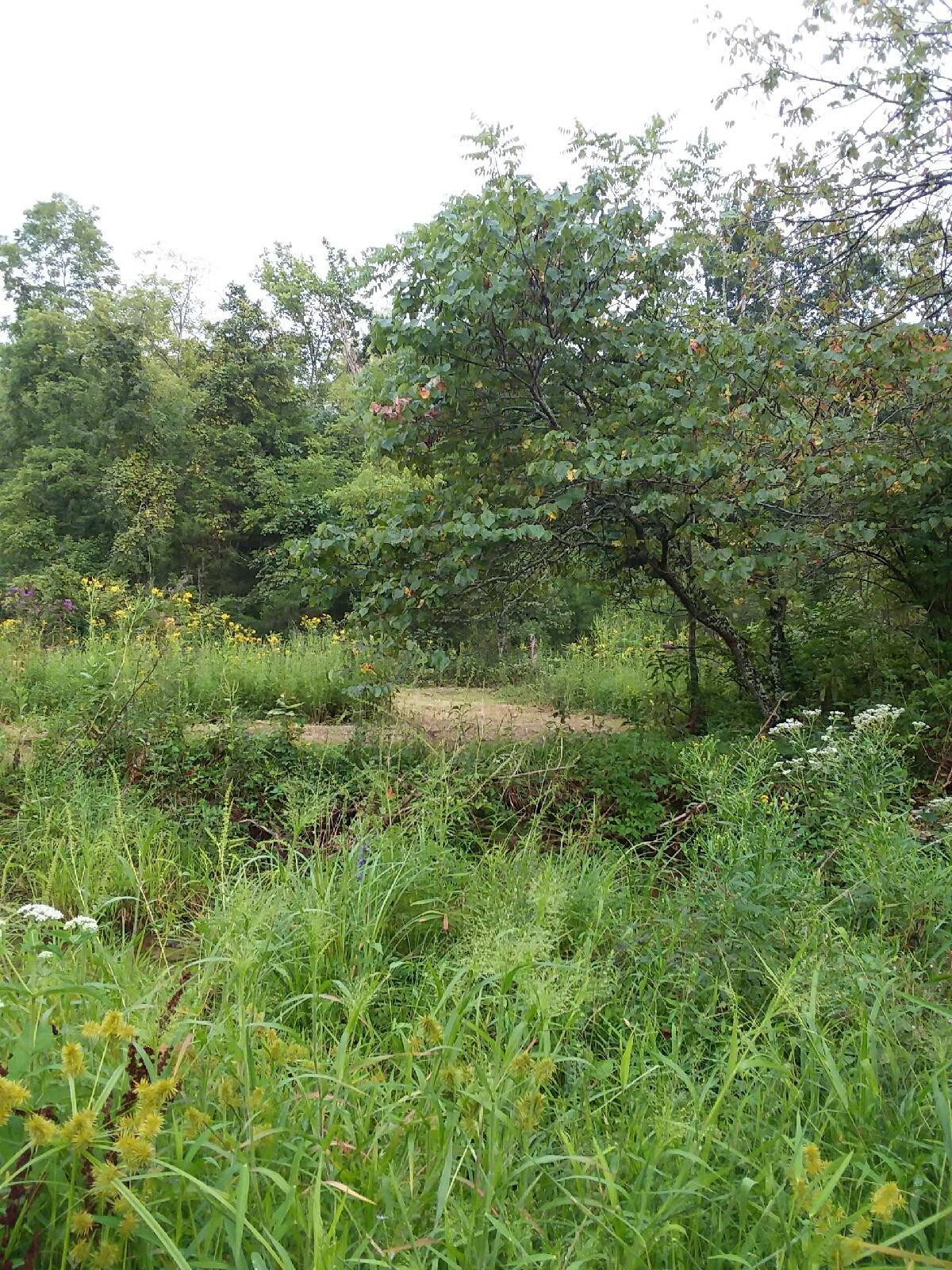 5 Puckett Road Lawrenceburg, KY 40342 - Photo 1 of 9 Photo 1