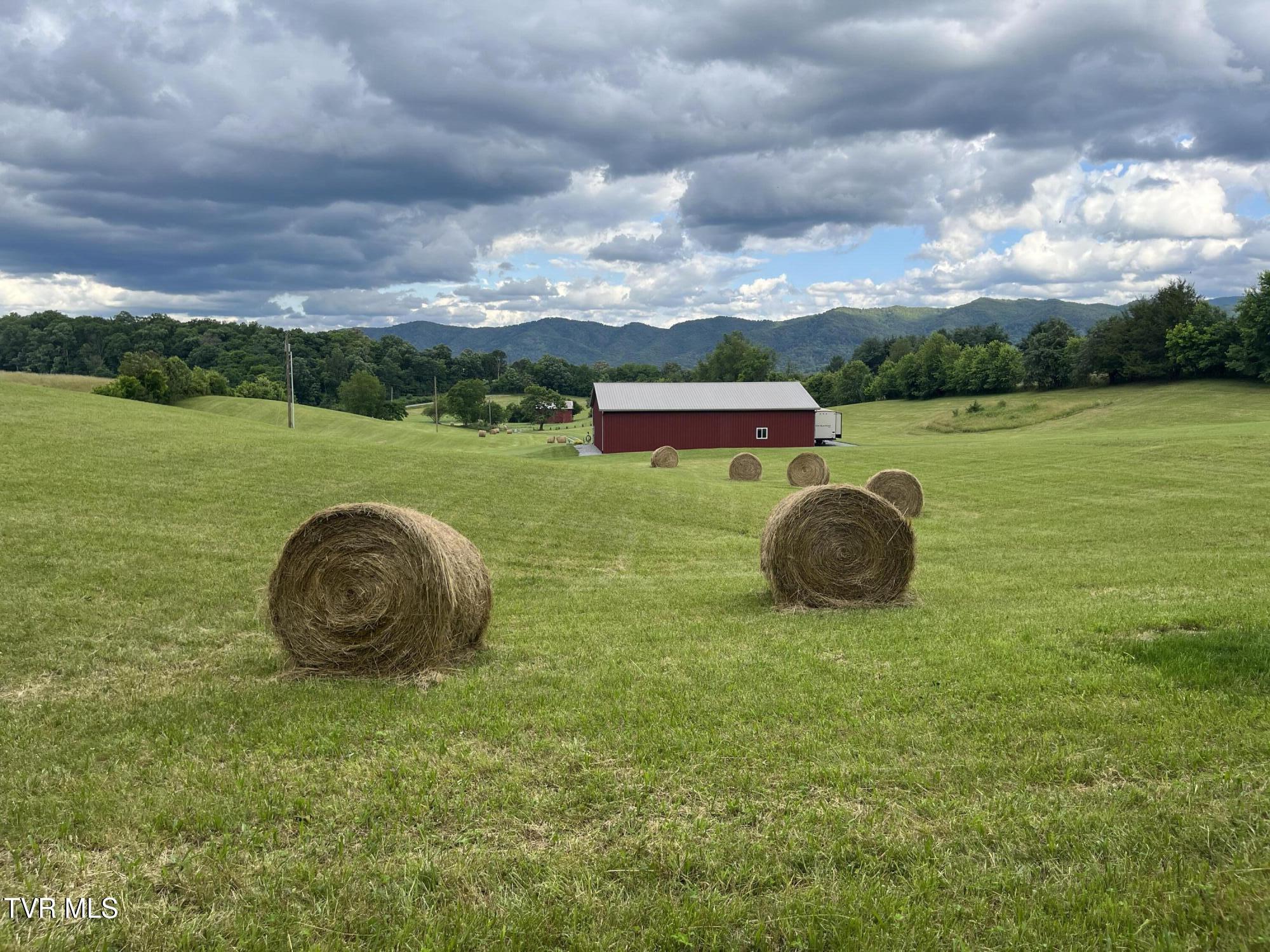 269 Oklahoma Road Telford, TN 37690 - Photo 43 of 46 View from the Rear Property 02