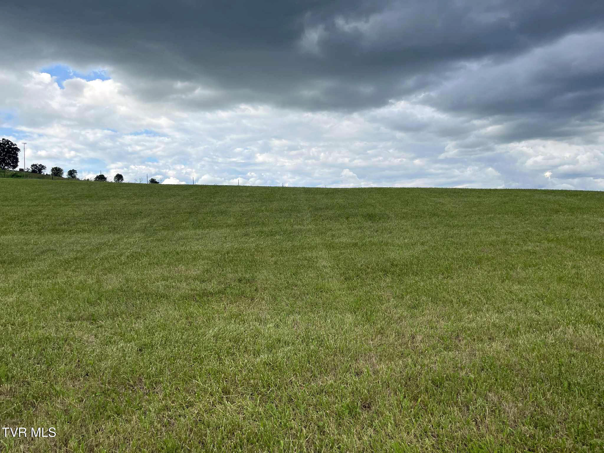269 Oklahoma Road Telford, TN 37690 - Photo 44 of 46 Landscape01
