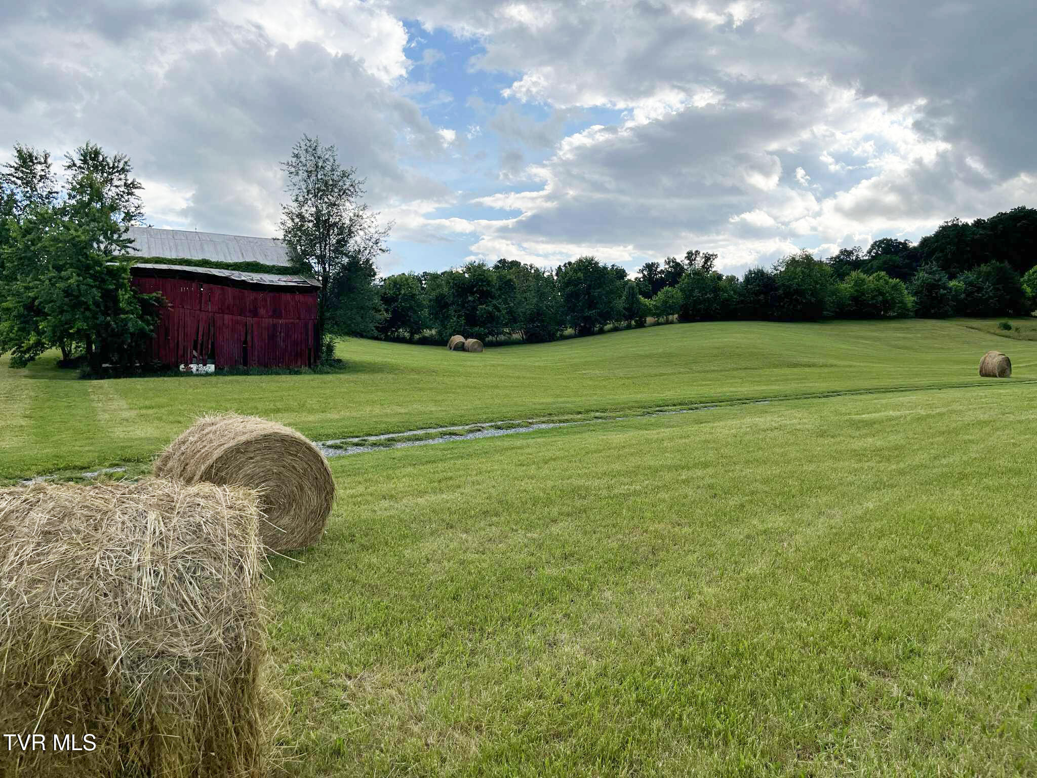 269 Oklahoma Road Telford, TN 37690 - Photo 45 of 46 Landscape02