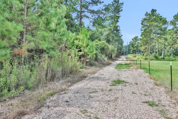 a view of a yard with plants and trees