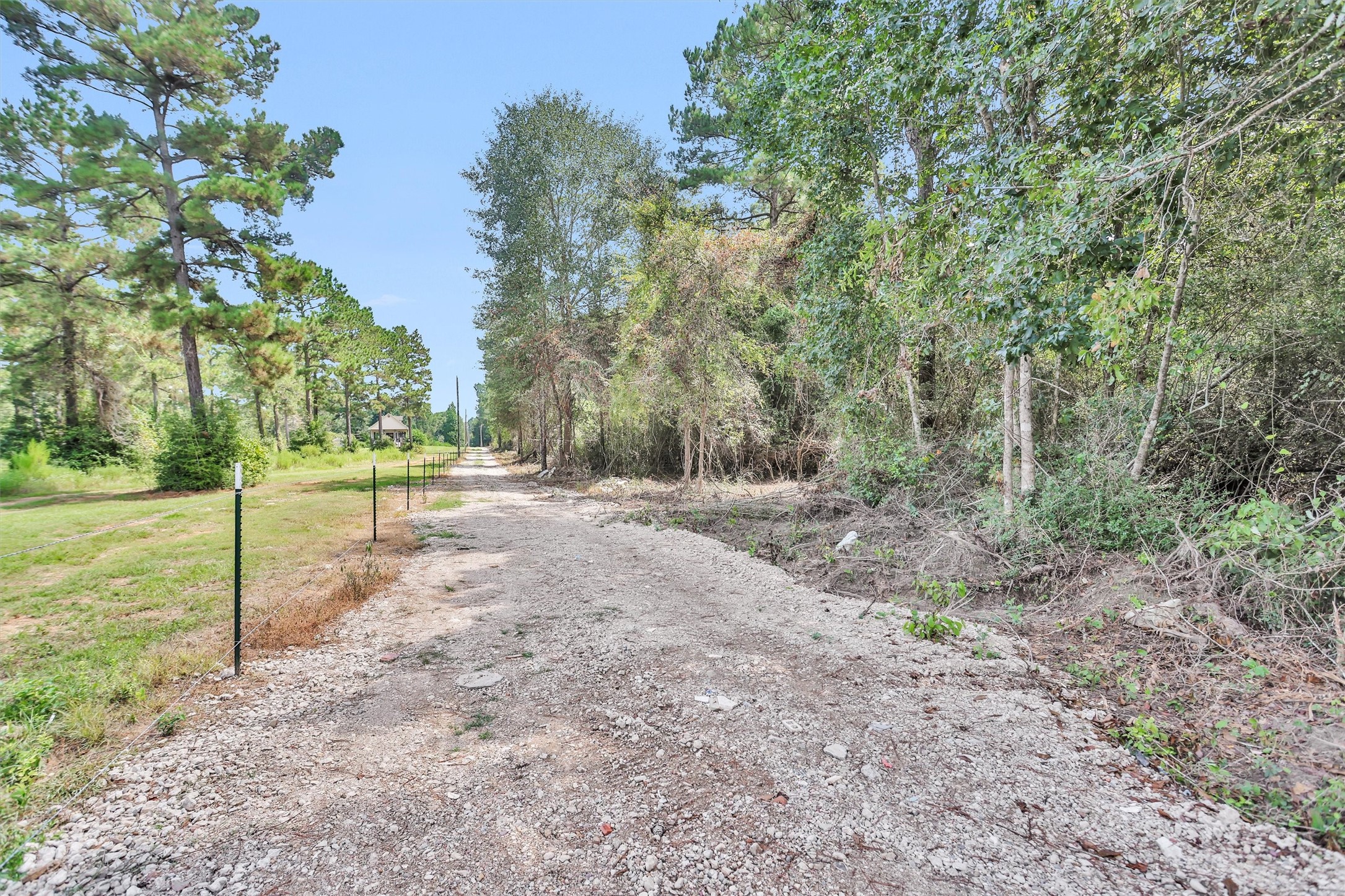 1001 County Line Road Shepherd, TX 77371 - Photo 45 of 46 a view of a yard with entertaining space