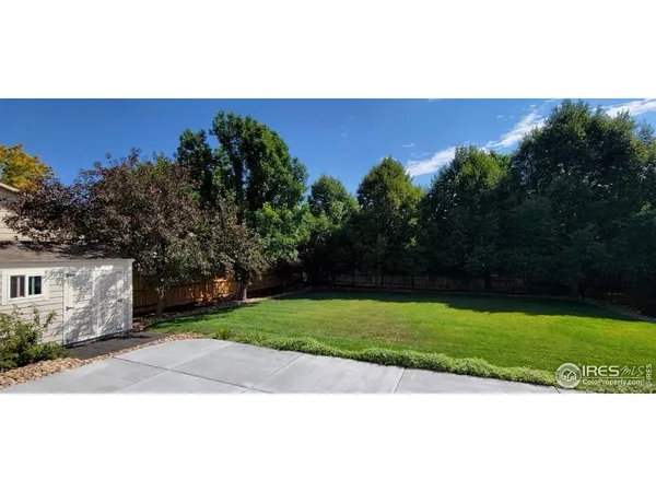 a view of a yard with an tree