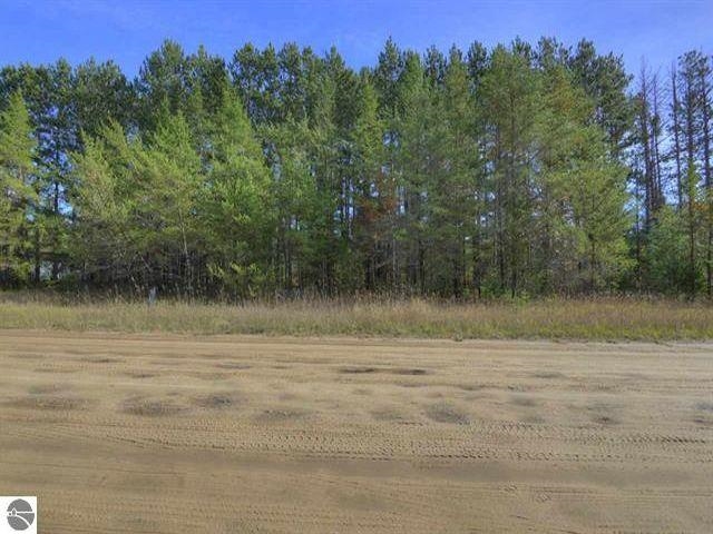4-5 Bourne Road Fife Lake, MI 49633 - Photo 2 of 5