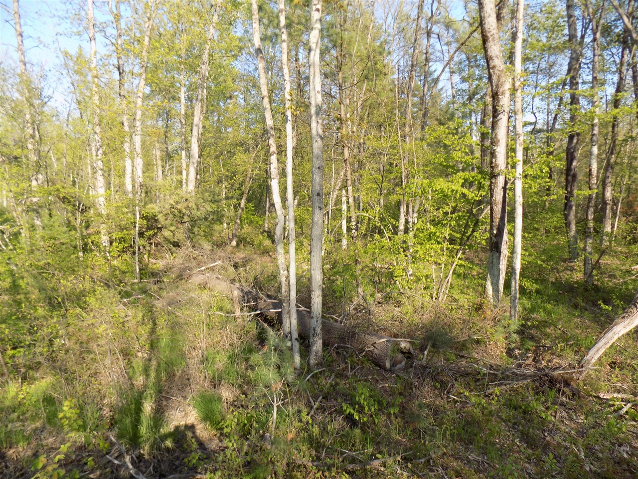 8590 West Long Lake Road Harrison, MI 48625 - Photo 22 of 50