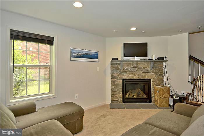 1545 Rabbit Hollow Place Silver Spring, MD 20906 - Photo 14 of 28 Large lower lvl w/gas FP and stone surround