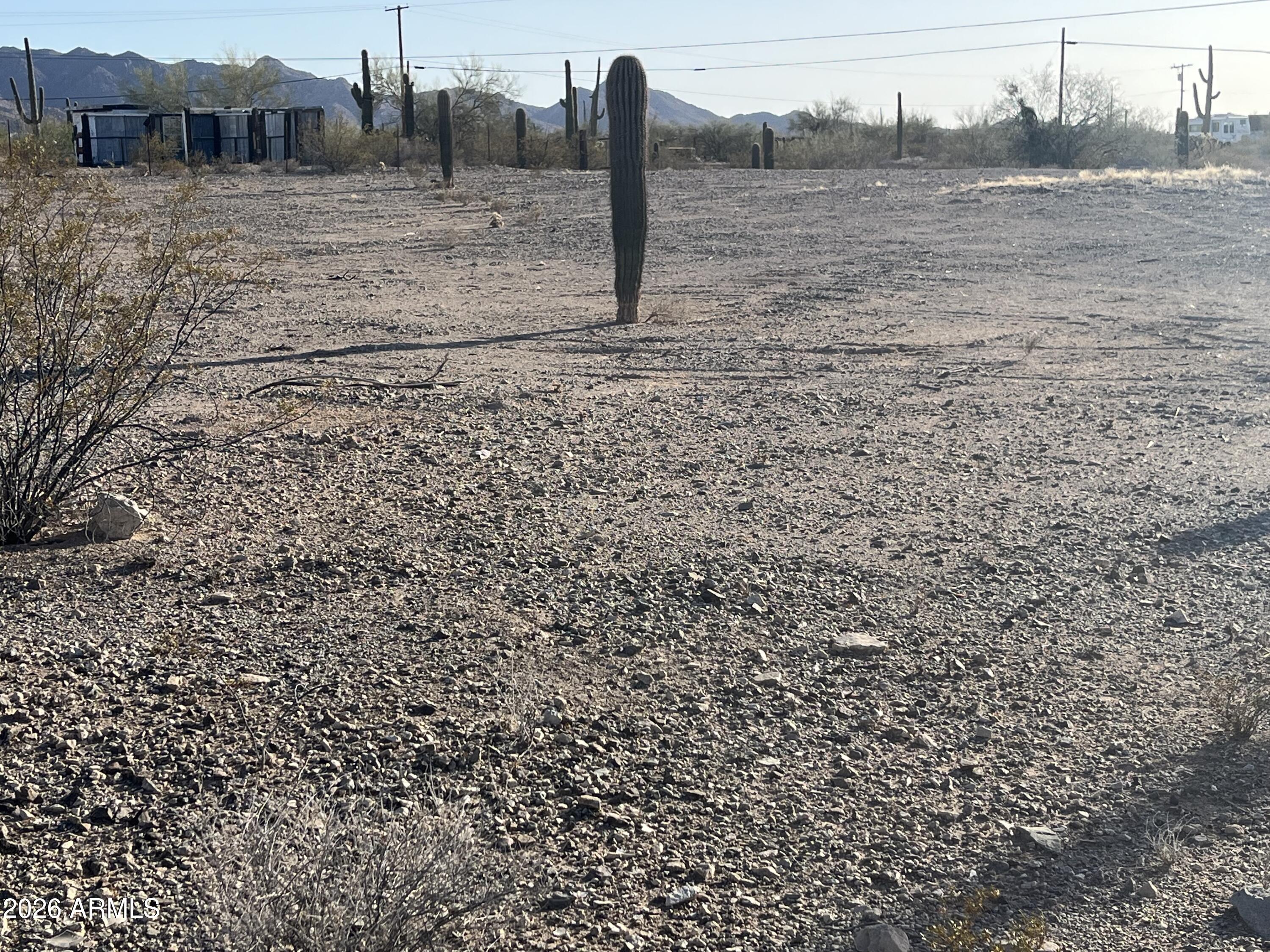 1125 West Fees Road, Unit NULL Ajo, AZ 85321 - Photo 2 of 6 a view of a dry yard