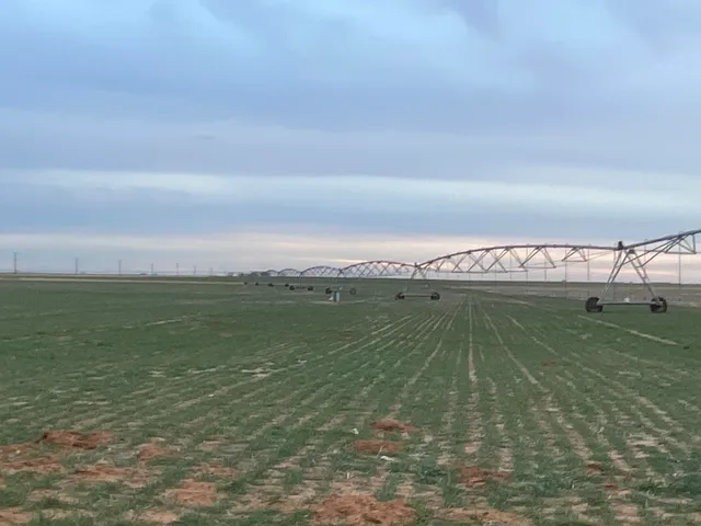 a view of a water pond