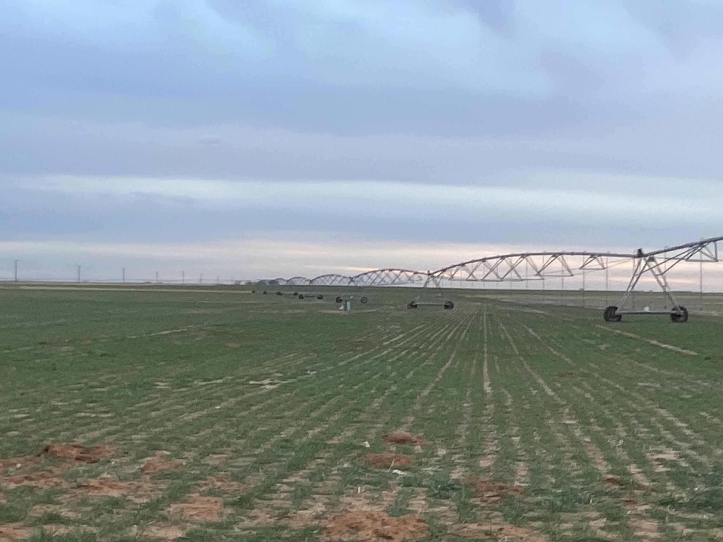 139 Cr Loop Welch, TX 79377 - Photo 3 of 3 a view of a water pond