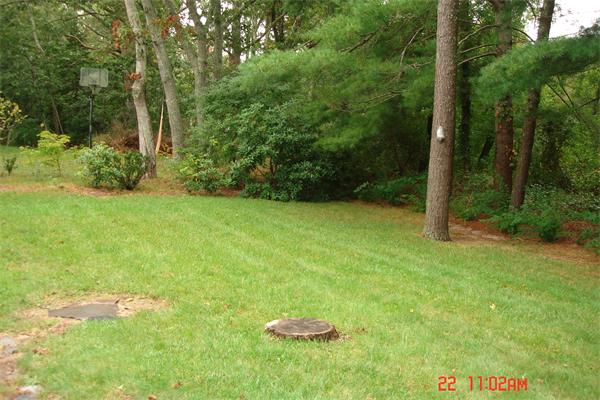 172 Telegraph Road Dennis, MA 02639 - Photo 2 of 9 a view of a backyard