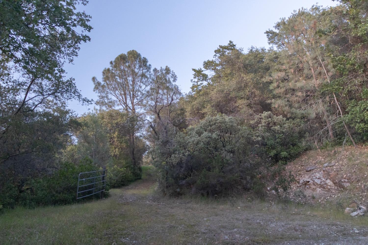 12911 Long Valley Road Penn Valley, CA 95946 - Photo 10 of 35 a view of a forest with trees in the background