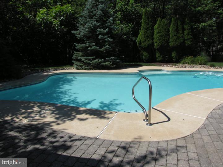 320 McKendimen Road Medford, NJ 08055 - Photo 45 of 81 Pool
