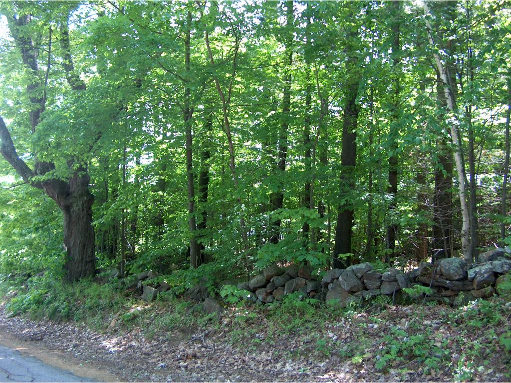 0 Plummer Hill Road Belmont, NH 03220 - Photo 3 of 5