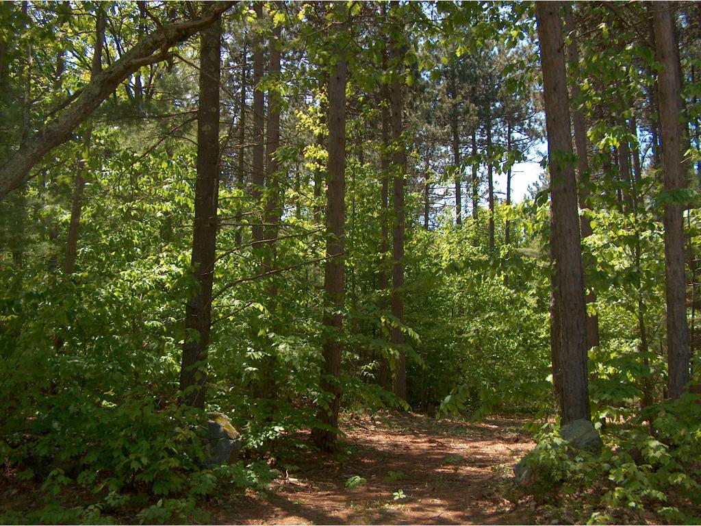 0 Plummer Hill Road Belmont, NH 03220 - Photo 4 of 5