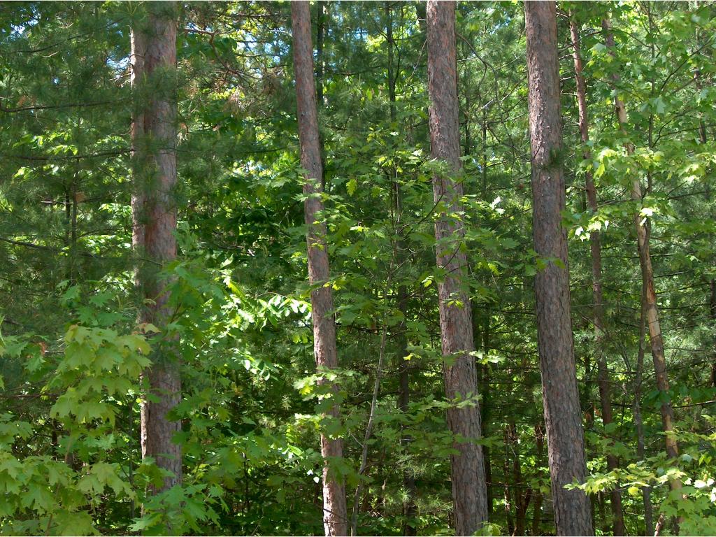 0 Plummer Hill Road Belmont, NH 03220 - Photo 5 of 5