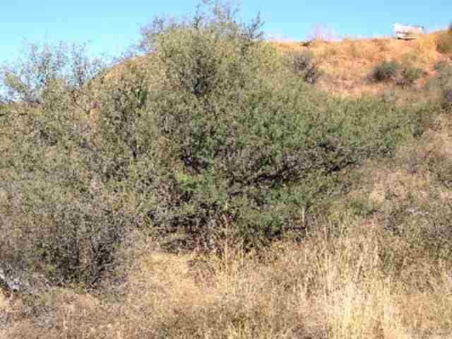 904 Ca Vega Rio Rico Az 85648 Rio Rico, AZ 85648 - Photo 1 of 1