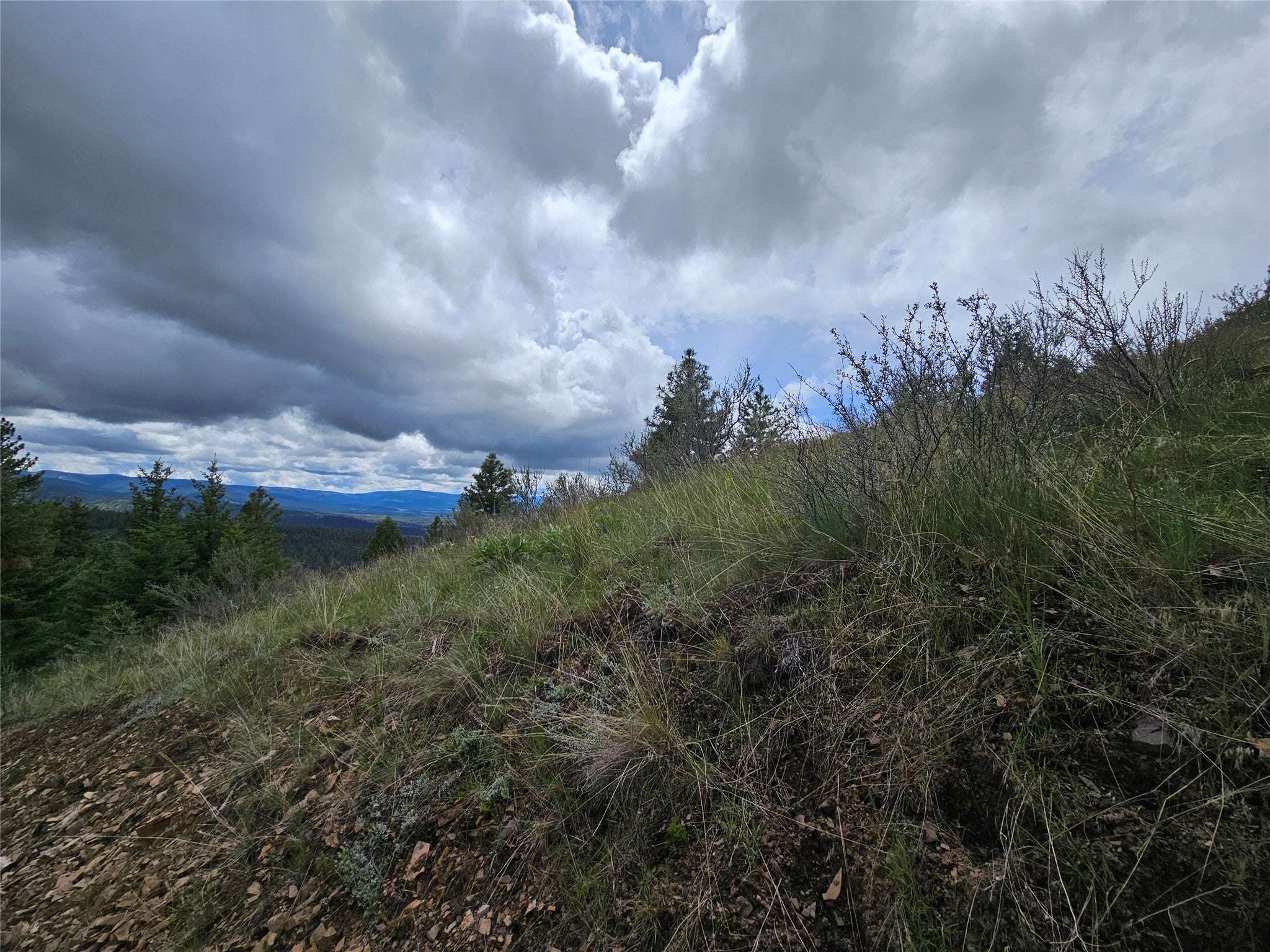 18866 Copper Rdg Trail Florence, MT 59833 - Photo 65 of 139 Gallery Image 65
