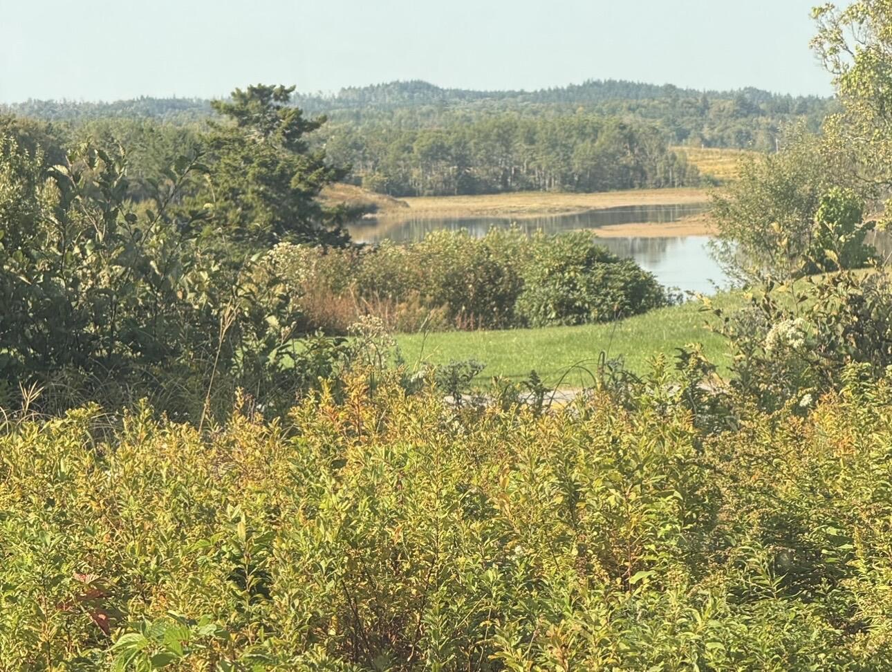 290 Cutler Road East Machias, ME 04630 - Photo 17 of 18 Waterview