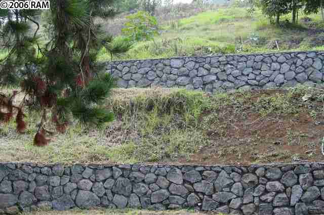 0 Koheo Road Kula, HI 96790 - Photo 11 of 20 a couple of green field with trees