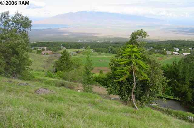0 Koheo Road Kula, HI 96790 - Photo 16 of 20 a view of a lake with a mountain in the background