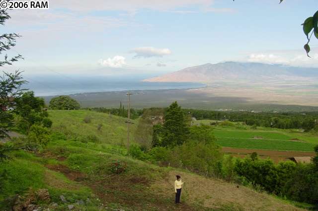 0 Koheo Road Kula, HI 96790 - Photo 18 of 20 a view of a city with lush green forest