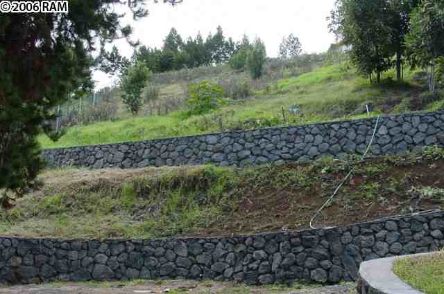 0 Koheo Road Kula, HI 96790 - Photo 7 of 20 a view of outdoor space and yard