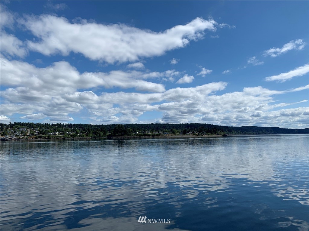12008 Yoman Road Anderson Island, WA 98303 - Photo 2 of 15