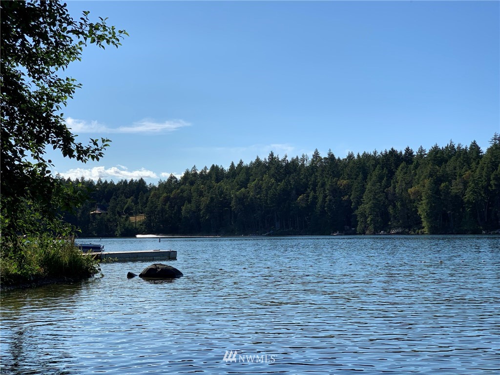 12008 Yoman Road Anderson Island, WA 98303 - Photo 14 of 15