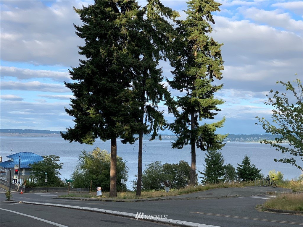 12008 Yoman Road Anderson Island, WA 98303 - Photo 15 of 15
