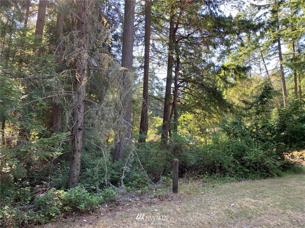 12008 Yoman Road Anderson Island, WA 98303 - Photo 4 of 15