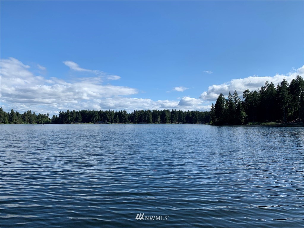 12008 Yoman Road Anderson Island, WA 98303 - Photo 10 of 15