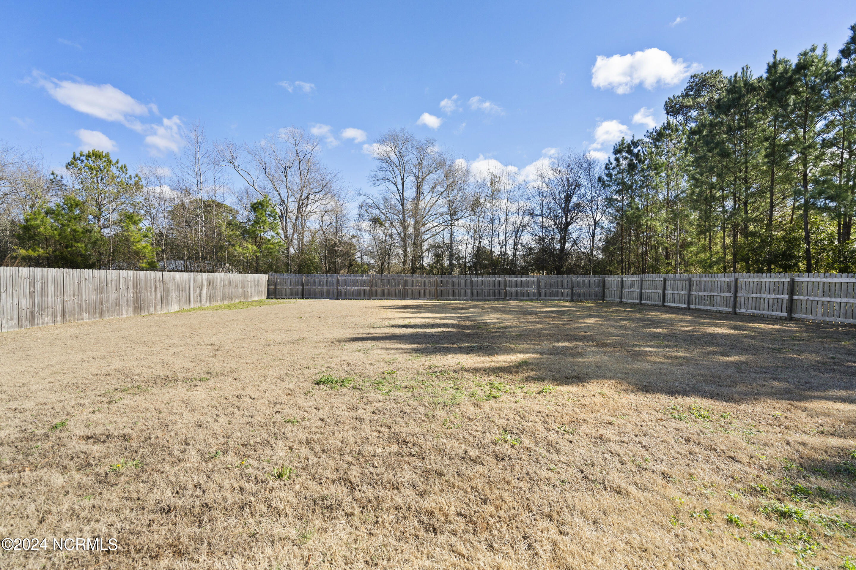 102 Burrell Lane Richlands, NC 28574 - Photo 33 of 43 Back Yard