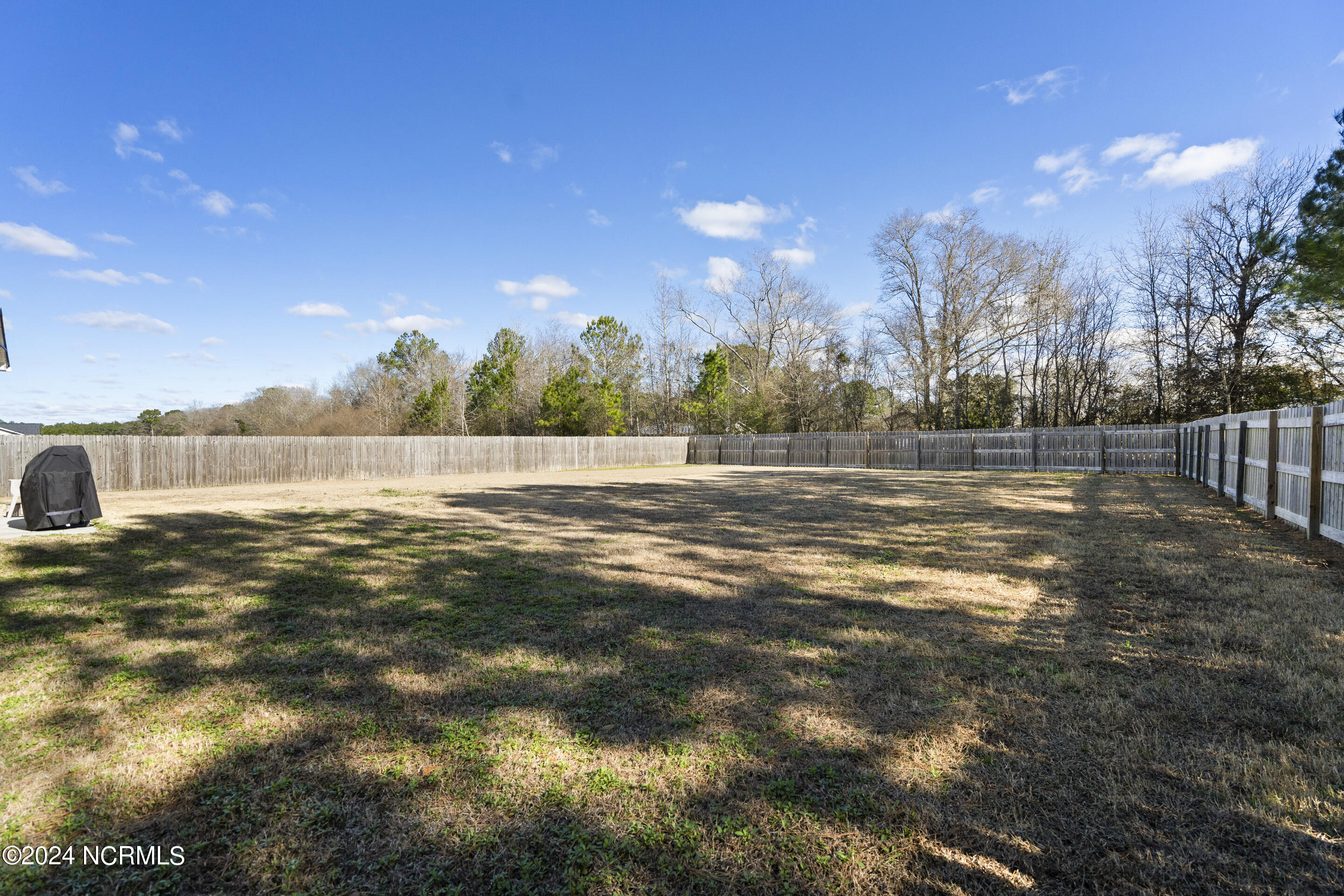 102 Burrell Lane Richlands, NC 28574 - Photo 34 of 43 Back Yard