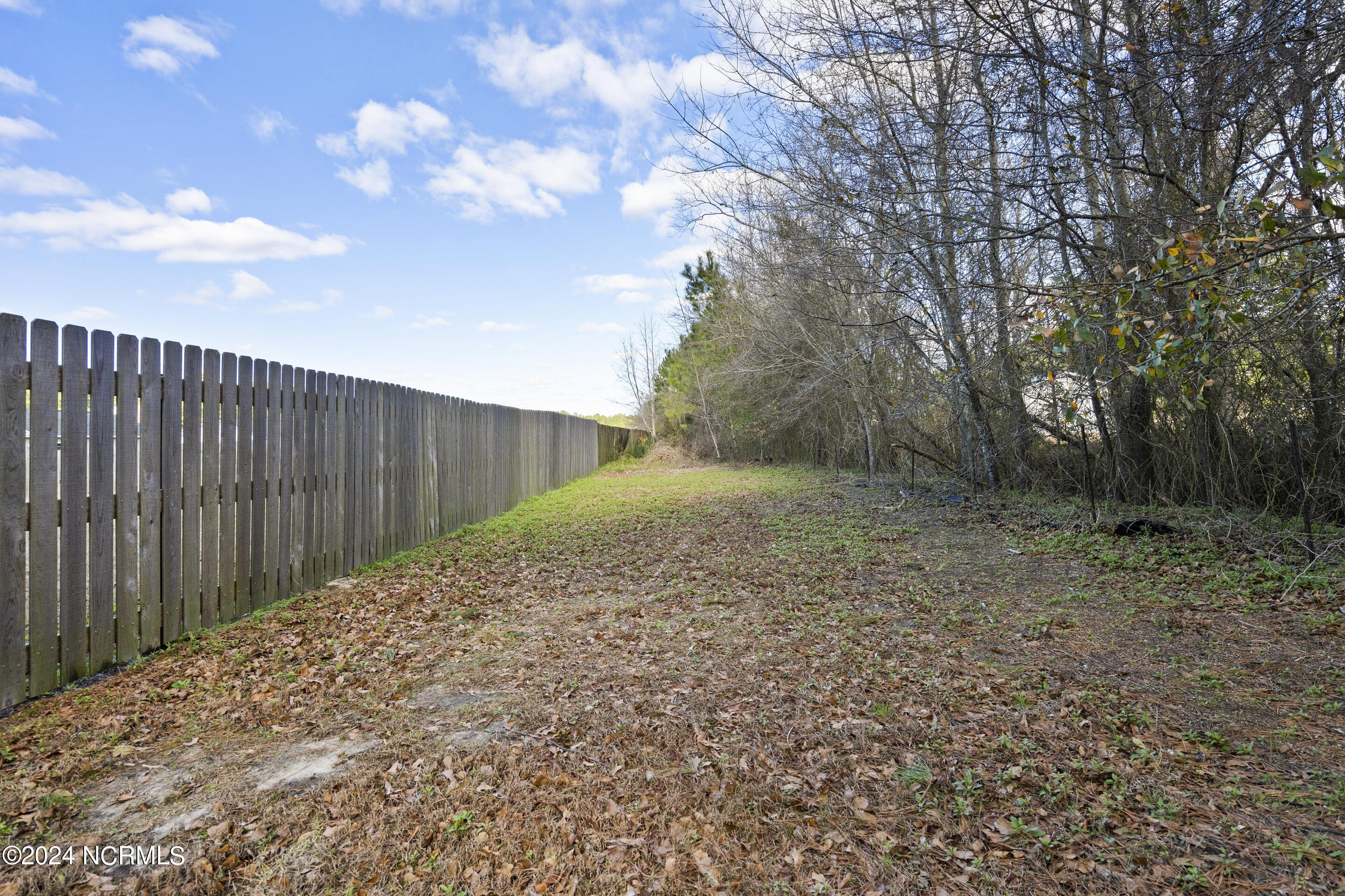 102 Burrell Lane Richlands, NC 28574 - Photo 41 of 43 Back Yard