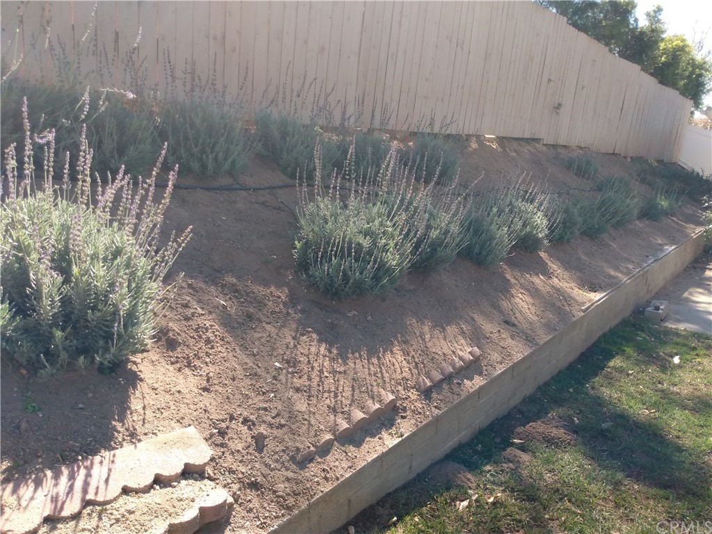 357 Parkman Street Altadena, CA 91001 - Photo 27 of 73 a view of a yard with plants and wooden fence